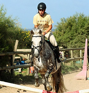 Belle Ile en Mer agency Allain horse riding jump