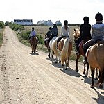 Belle Ile en Mer agency Allain walk with horses